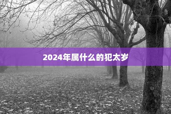2024年属什么的犯太岁