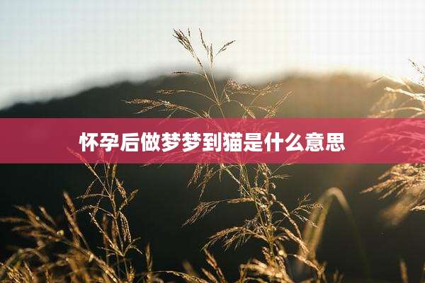 怀孕后做梦梦到猫是什么意思