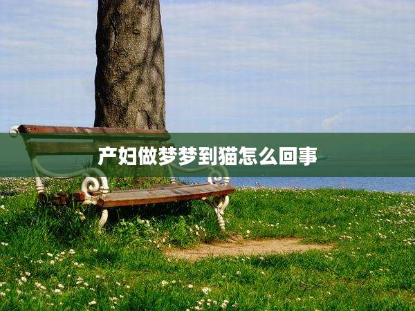 产妇做梦梦到猫怎么回事