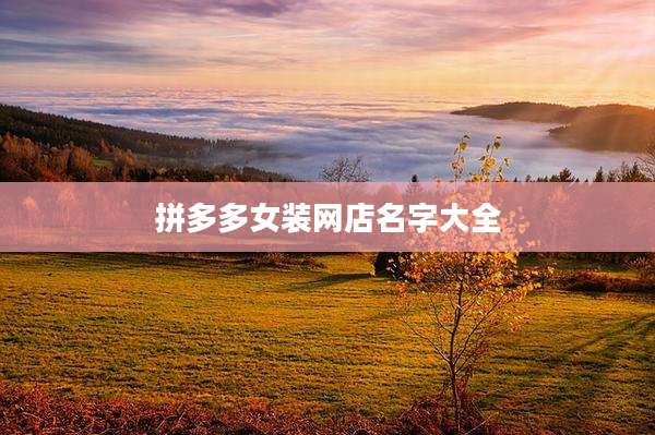拼多多女装网店名字大全