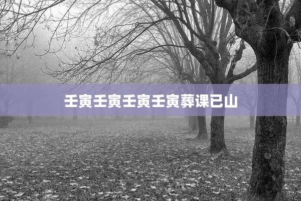 壬寅壬寅壬寅壬寅葬课已山