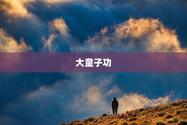 大童子功