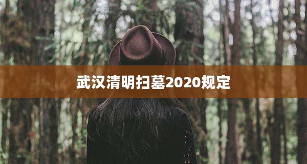 武汉清明扫墓2020规定