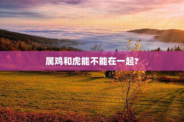 属鸡和虎能不能在一起?