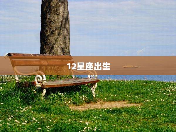 12星座出生