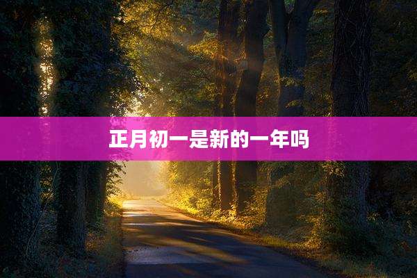 正月初一是新的一年吗