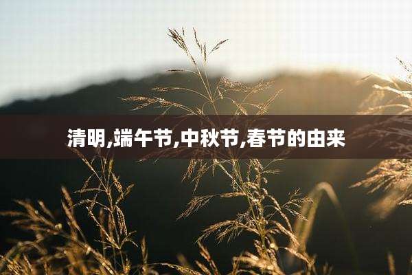 清明,端午节,中秋节,春节的由来