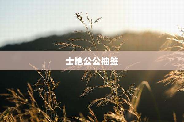 士地公公抽签