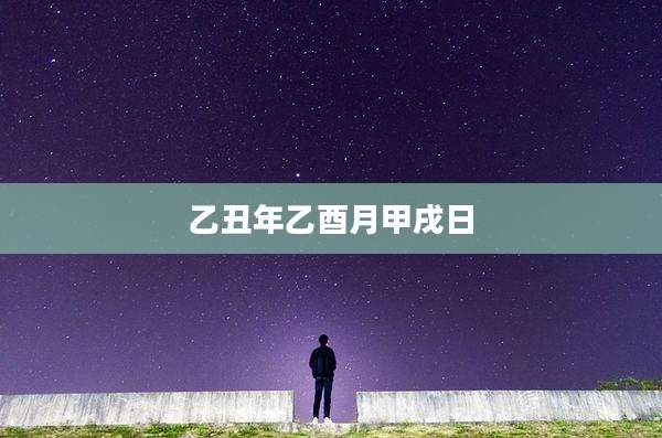 乙丑年乙酉月甲戌日