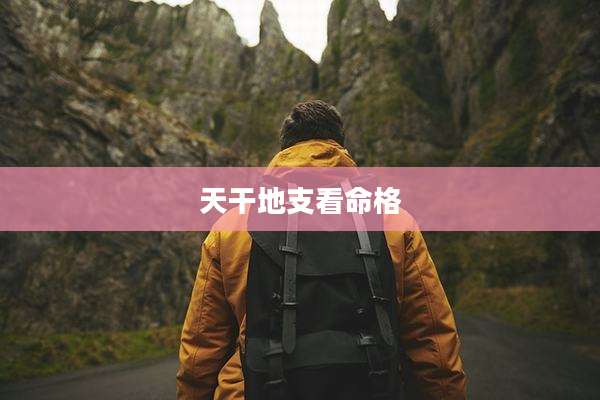 天干地支看命格