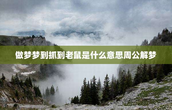 做梦梦到抓到老鼠是什么意思周公解梦