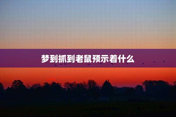 梦到抓到老鼠预示着什么