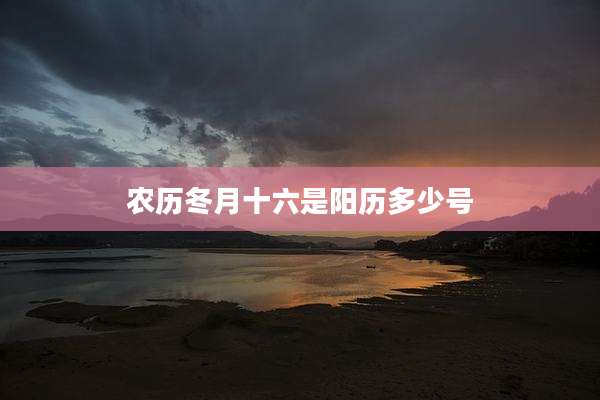 农历冬月十六是阳历多少号