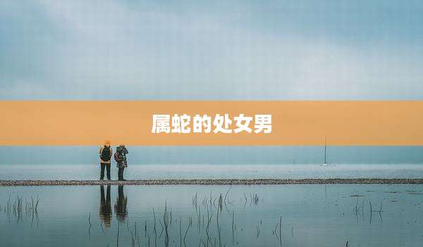 属蛇的处女男