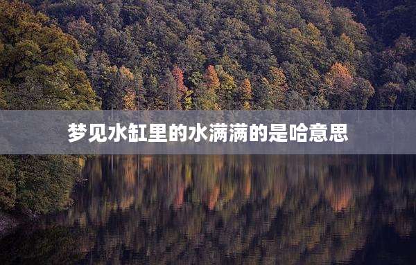 梦见水缸里的水满满的是哈意思