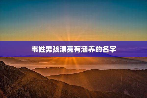 韦姓男孩漂亮有涵养的名字