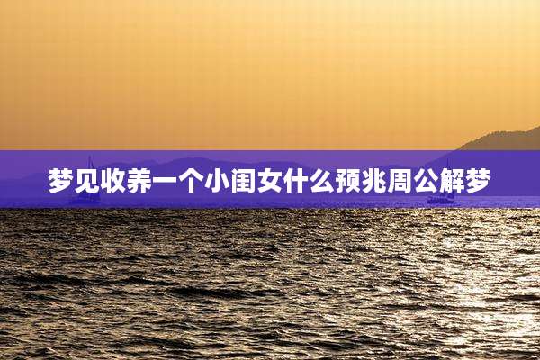 梦见收养一个小闺女什么预兆周公解梦