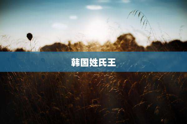 韩国姓氏王