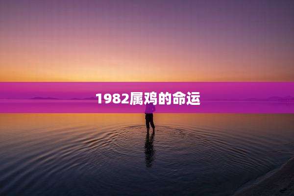 1982属鸡的命运