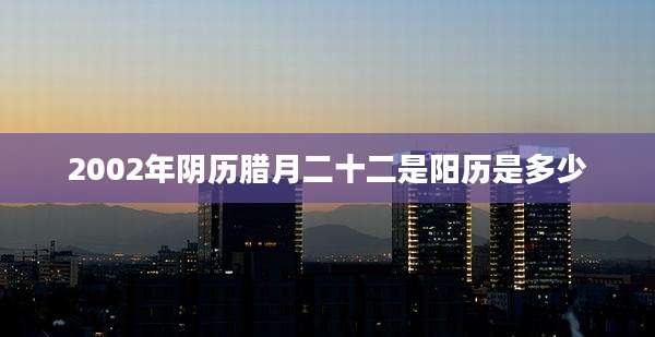 2002年阴历腊月二十二是阳历是多少