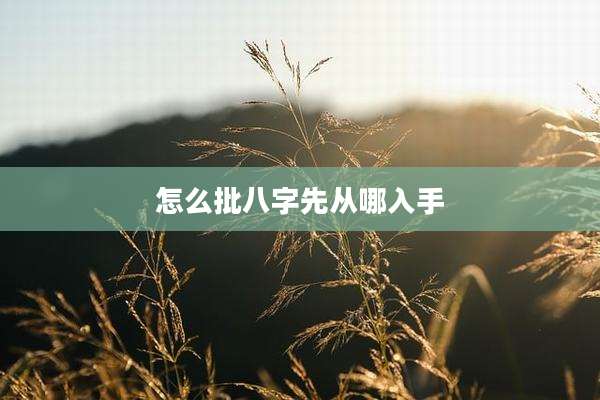 怎么批八字先从哪入手
