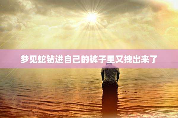 梦见蛇钻进自己的裤子里又拽出来了