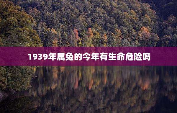 1939年属兔的今年有生命危险吗