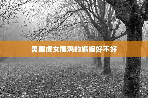 男属虎女属鸡的婚姻好不好