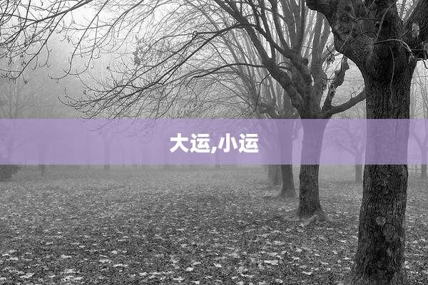 大运,小运