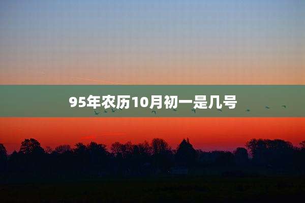 95年农历10月初一是几号