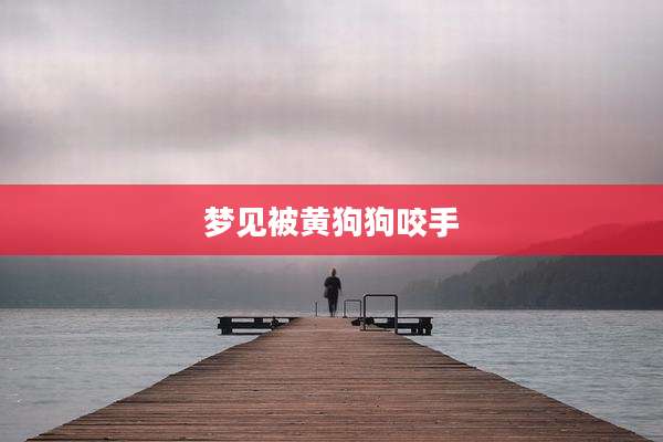 梦见被黄狗狗咬手