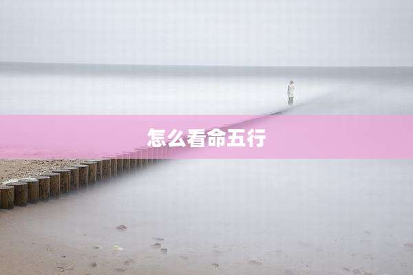 怎么看命五行