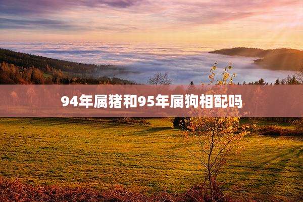 94年属猪和95年属狗相配吗