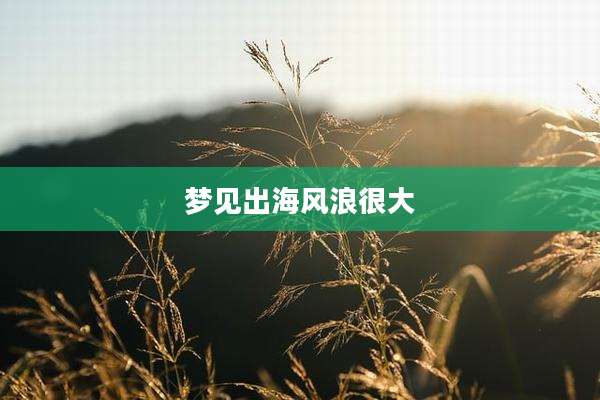 梦见出海风浪很大