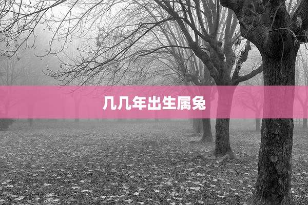 几几年出生属兔