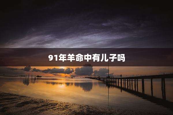 91年羊命中有儿子吗