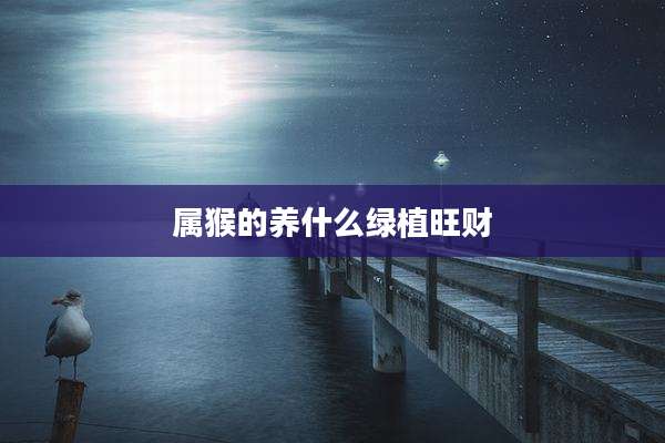 属猴的养什么绿植旺财