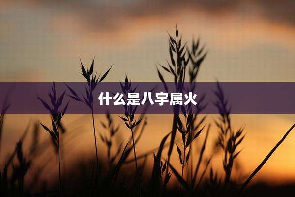 什么是八字属火