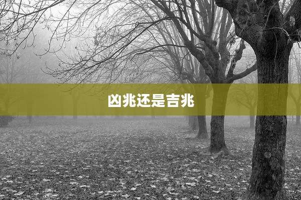凶兆还是吉兆