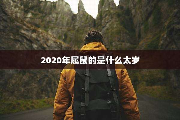 2020年属鼠的是什么太岁