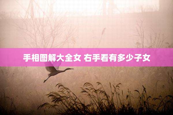 手相图解大全女 右手看有多少子女