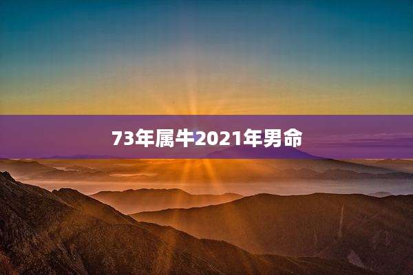 73年属牛2021年男命