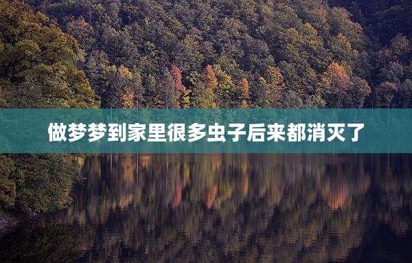 做梦梦到家里很多虫子后来都消灭了