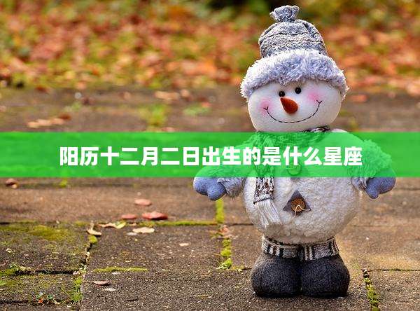 阳历十二月二日出生的是什么星座