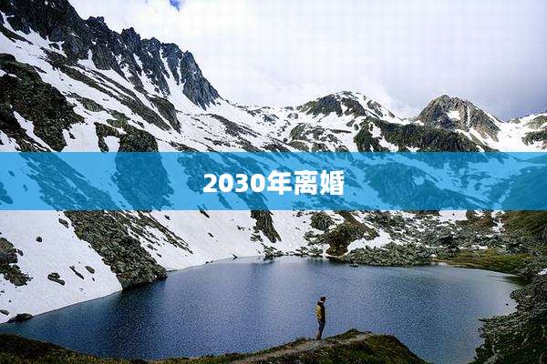 2030年离婚