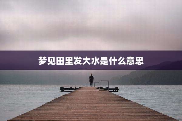 梦见田里发大水是什么意思