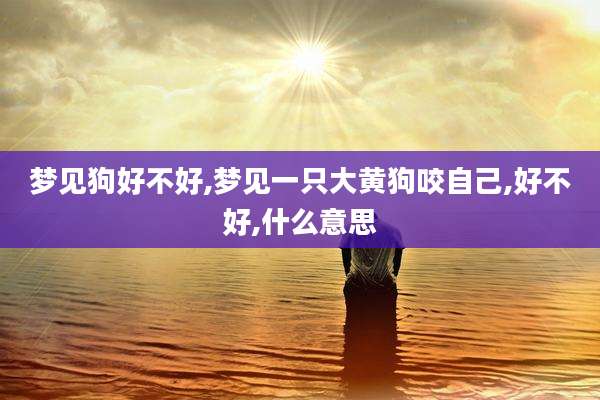 梦见狗好不好,梦见一只大黄狗咬自己,好不好,什么意思