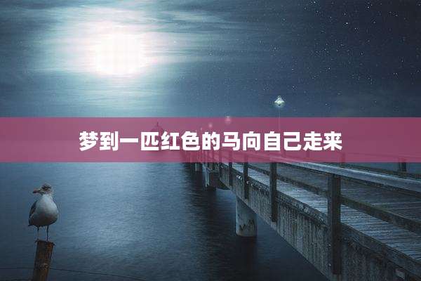 梦到一匹红色的马向自己走来
