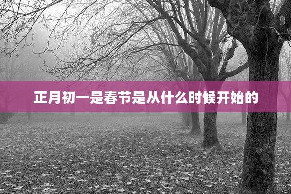 正月初一是春节是从什么时候开始的