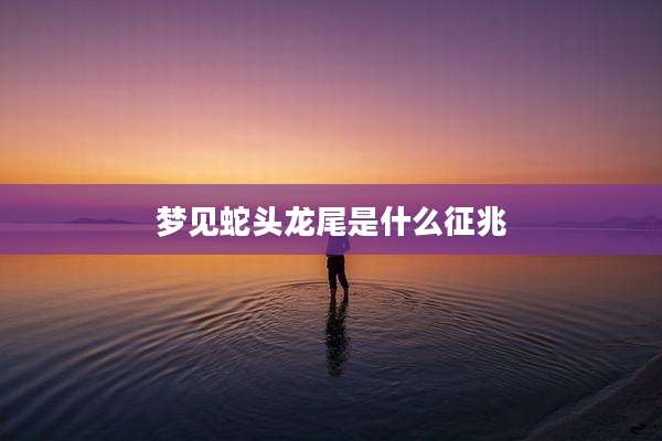 梦见蛇头龙尾是什么征兆